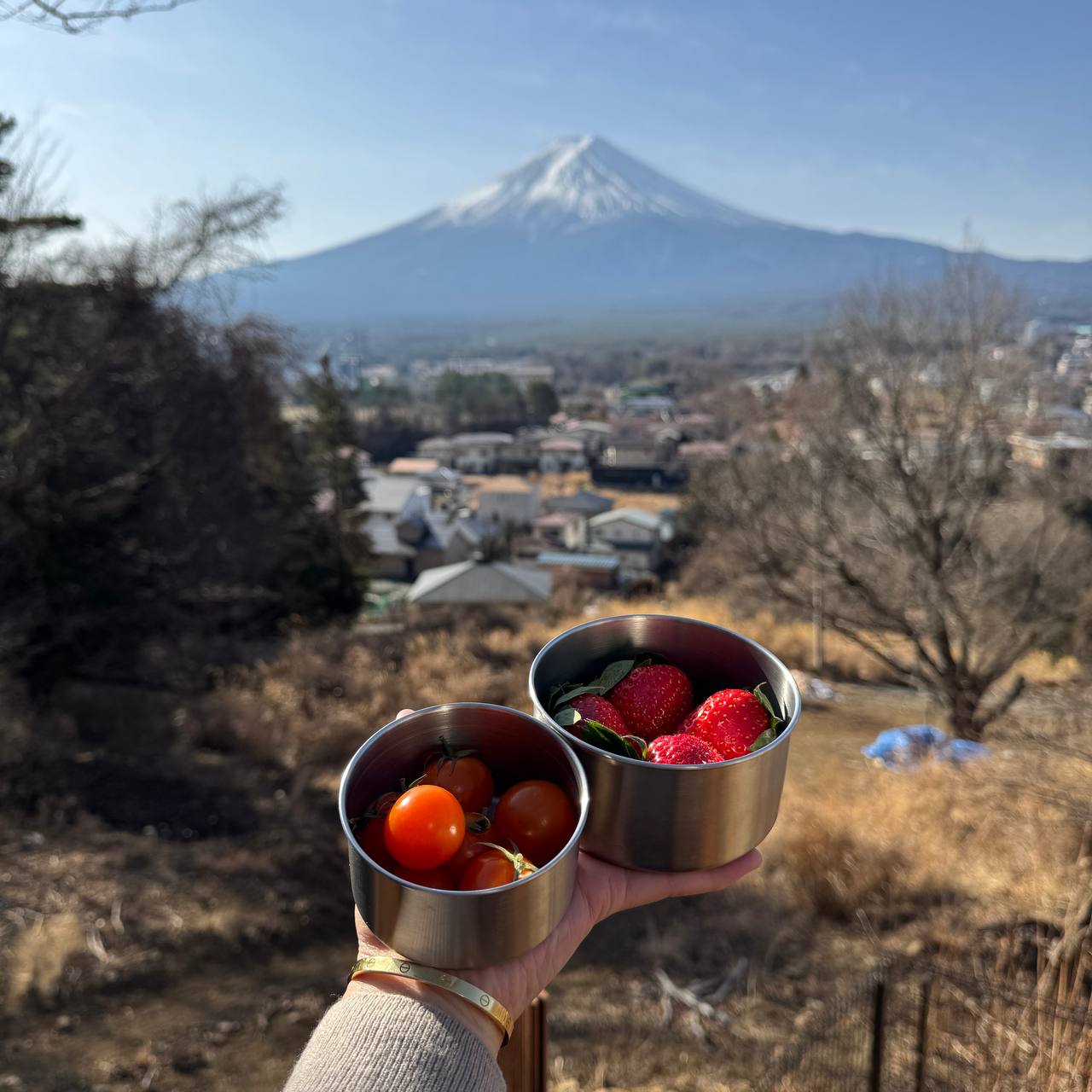 A KINDER NEST_STAINLESS STEEL FOOD STORAGE CONTAINERS (TRIO)