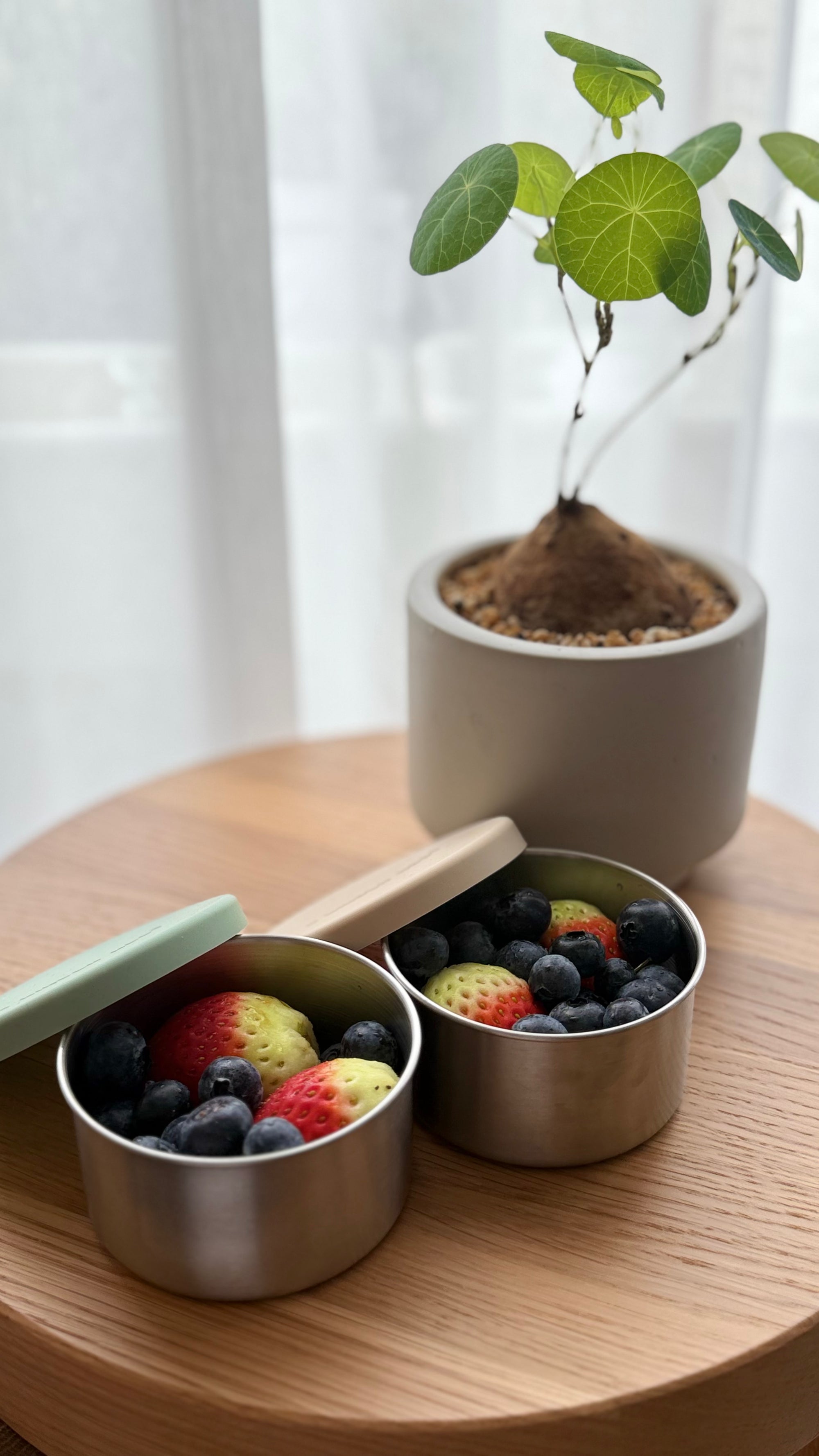 A KINDER NEST_STAINLESS STEEL FOOD STORAGE CONTAINERS (TRIO)